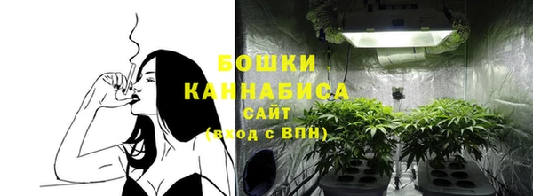 прущий лед Арсеньев