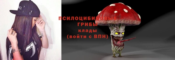 2c-b Алзамай