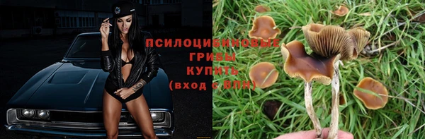 прущий лед Арсеньев